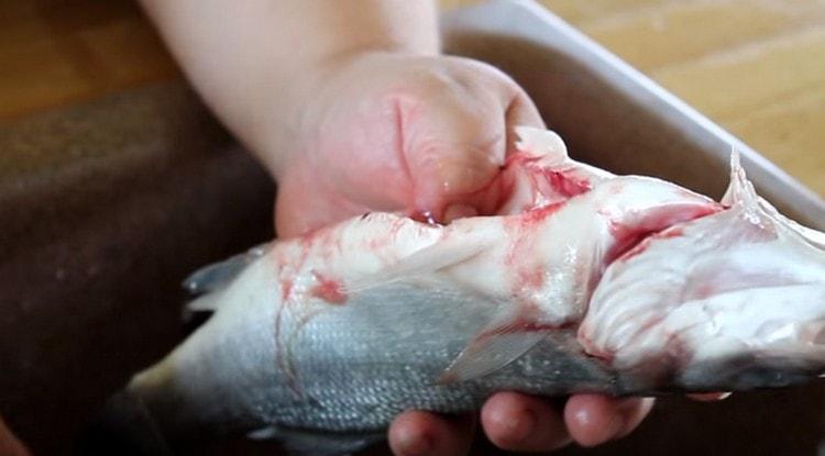 We clean and gut the fish.