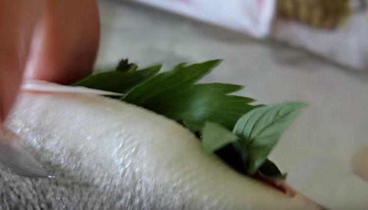 It goes well with sea bass lovage.