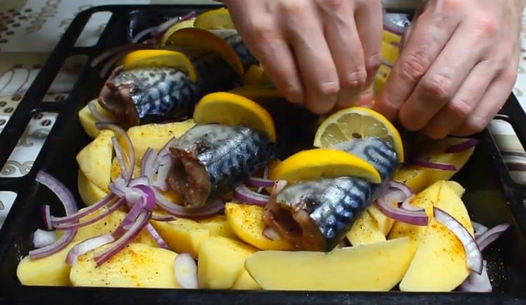 Insert slices of lemon into the incisions on the carcasses.