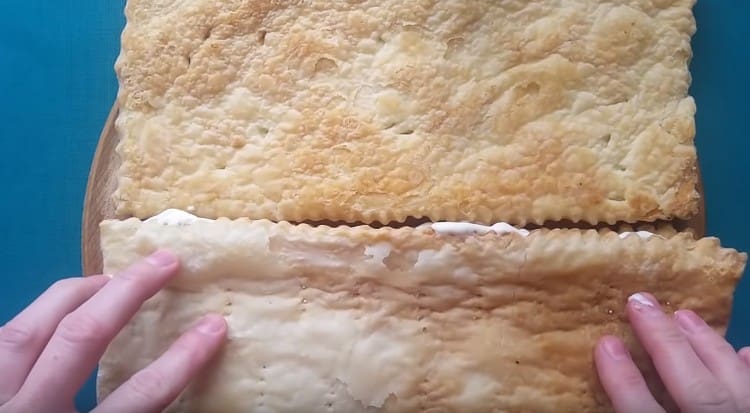 cover the cake with fish with the second cake with the oiled side inward.