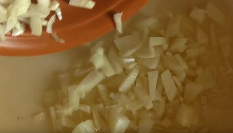 Put the onions in a preheated pan with vegetable oil and fry a little.