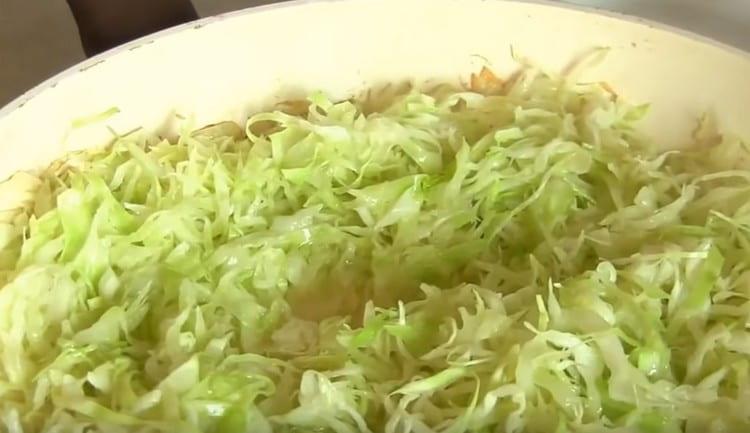 Add cabbage to the onion, stew all together.