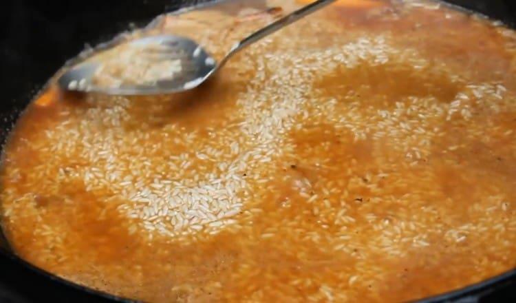 We spread the rice with an even layer, the water should completely cover it.