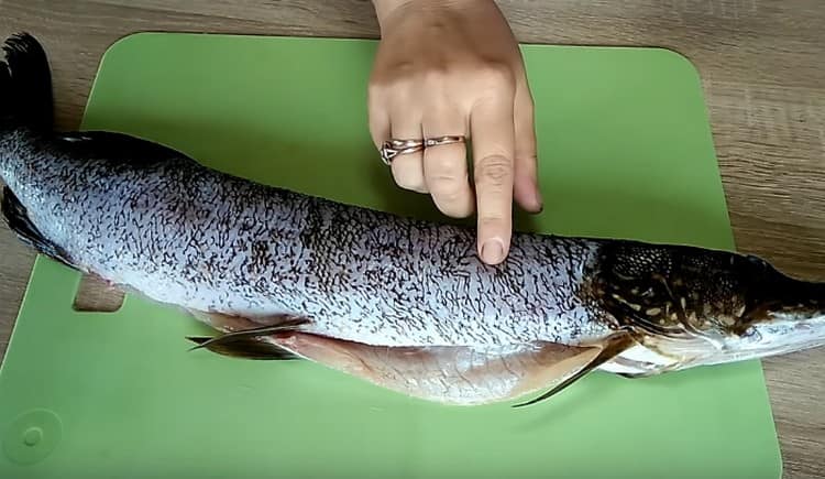 Gently pike the giblets and clean them of scales.