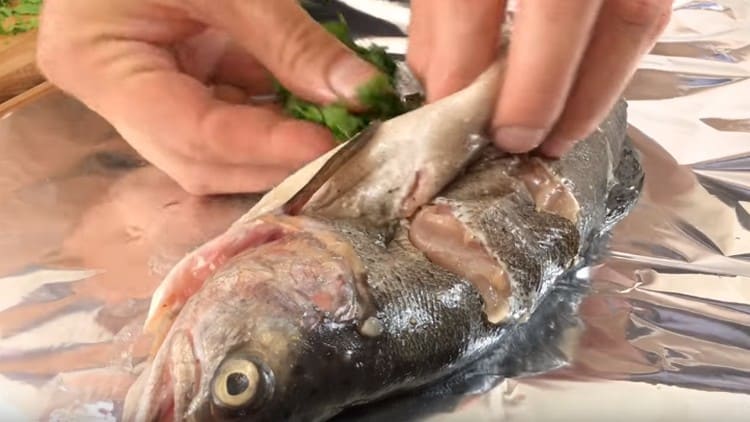 We stuff trout with chopped parsley.