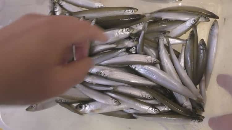 To prepare the smelt, prepare salt the fish