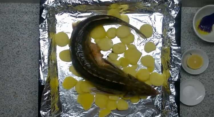 To prepare the sterlet, put the ingredients on the form