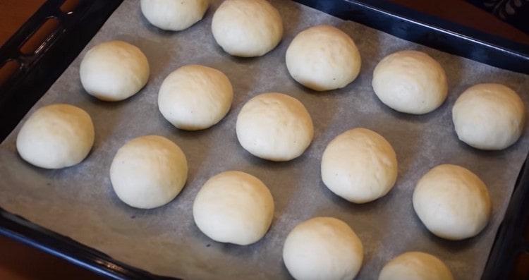 We spread the blanks and the pan covered with parchment.