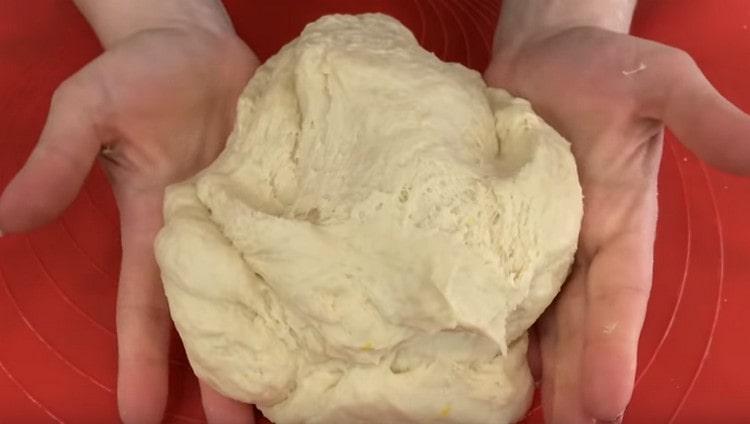 The dough is soft and aromatic, it should rise well in a warm place.