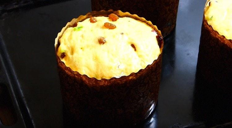 The dough is still in forms should rise very well.