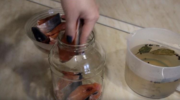 We put the pieces of pink salmon in a jar.