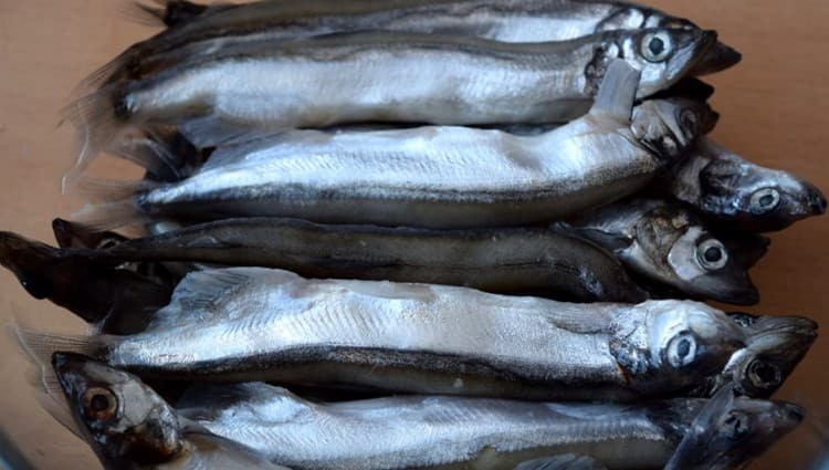 Defrost capelin.