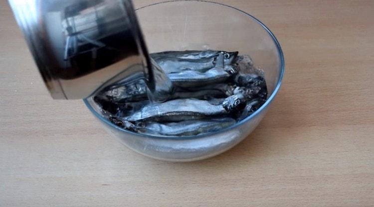 Cooled capelin with cooled marinade.