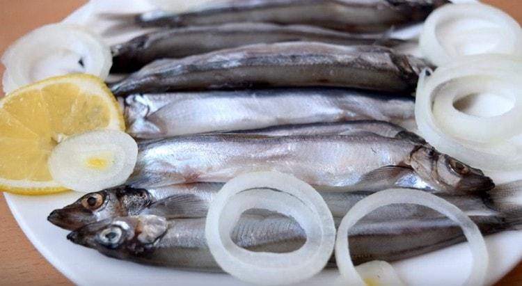 Now you know how to salt capelin.