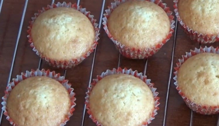 Ready-made studio cupcakes.