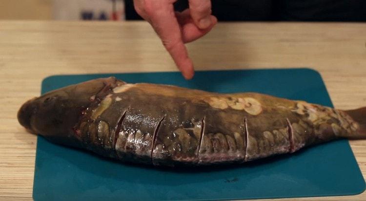 On the back of the carp we make deep cuts.