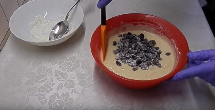 Transfer the raisins into a bowl with the dough and mix.