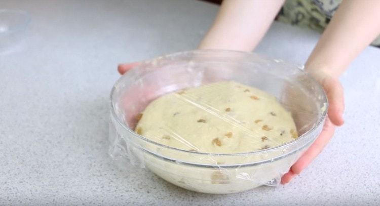 We spread the dough in a bowl greased with vegetable oil, cover it with cling film and put in a warm place.