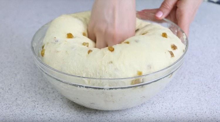 We crush the approached dough.