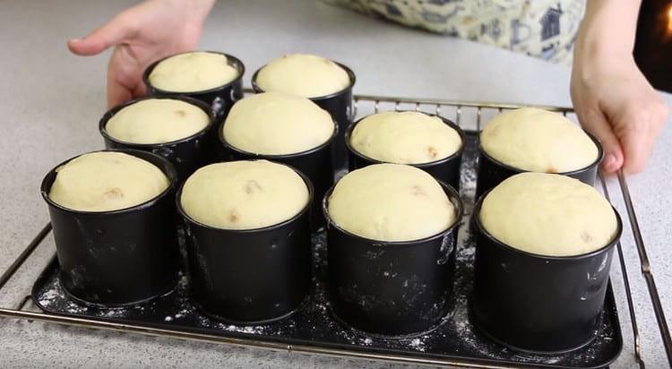 We leave the blanks in a warm place so that they can rise.