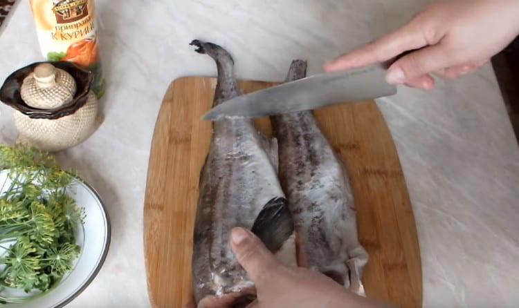 We clean carcasses of pollock, remove the fins.