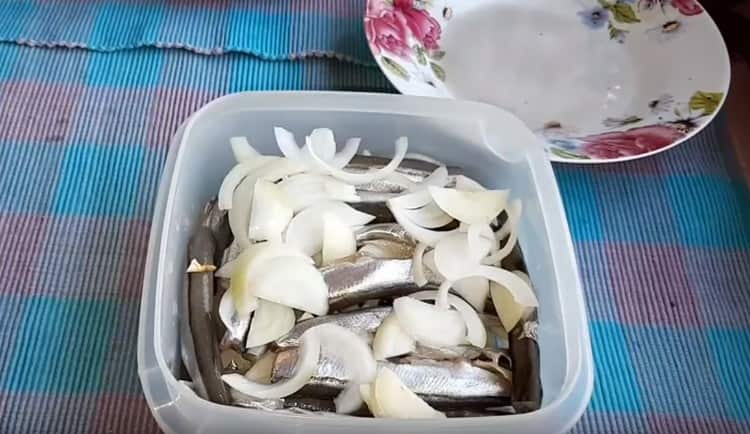 Alternating layers of fish and onions.