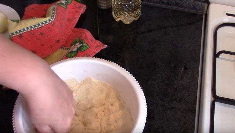 The dough has come up, you can knead it.