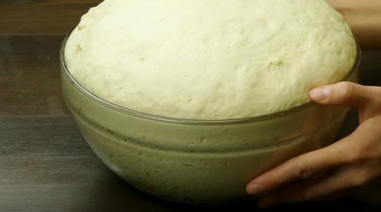 The dough just rose perfectly.