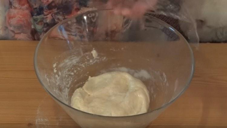 Knead the soft dough and leave it to rise in a warm place.