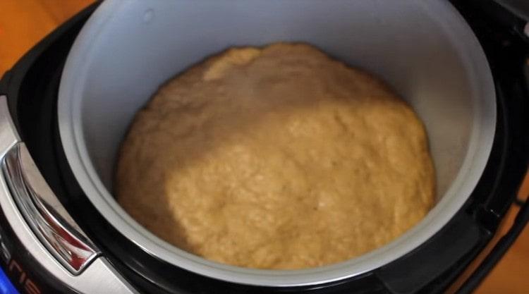 This should look like dough after proofing.