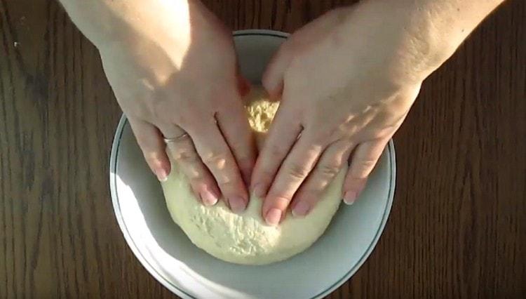 We spread the dough in a bowl greased with vegetable oil, and wait for it to rise.