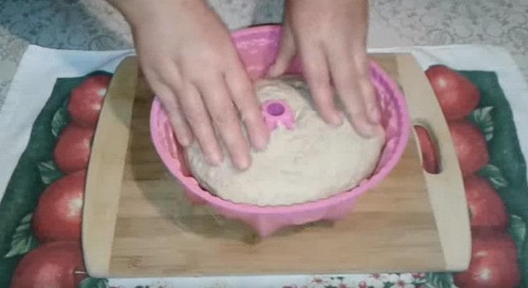 Put the kneaded dough into a baking dish.