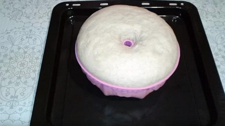 Rising the dough directly in the form, gently transfer to a baking sheet and put in the oven.