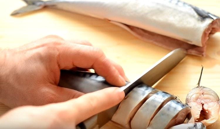 The washed carcasses of mackerel are cut into pieces.