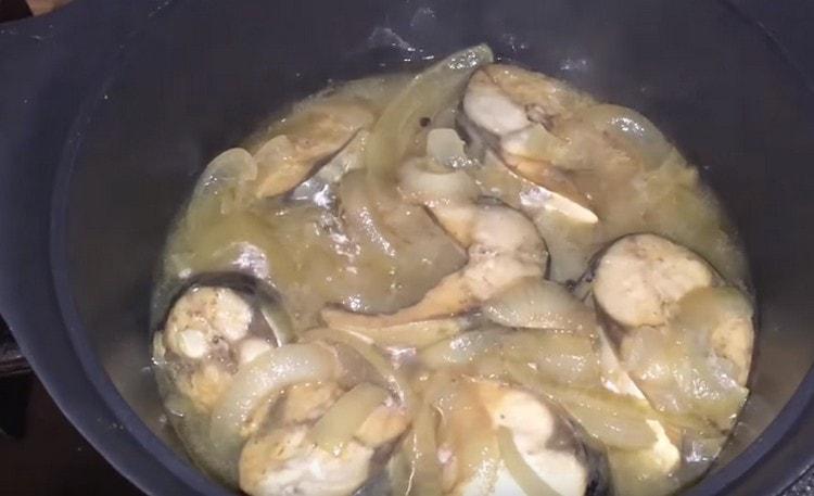 We put the fish to stew.