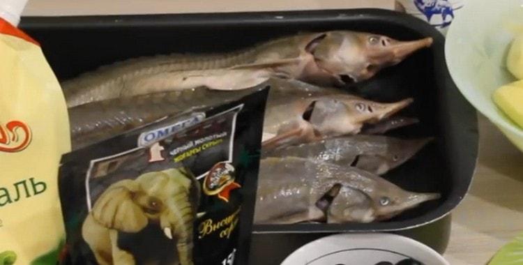 Sterlet is clean and gutting.