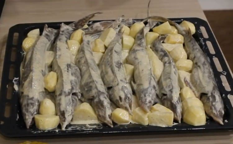 Put the sterlet on top of the potatoes.