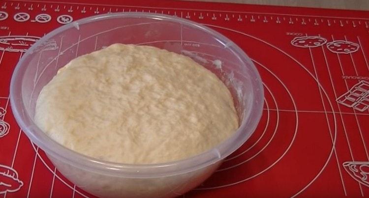 The dough rose well.