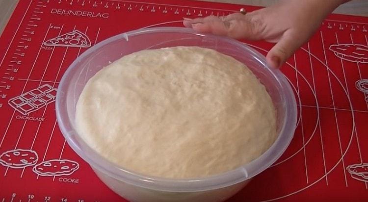 Our magnificent base for whites is ready.