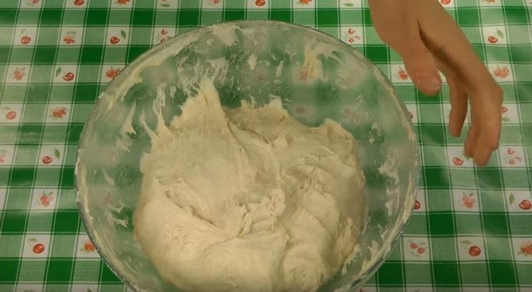 Now again, let the dough rise.