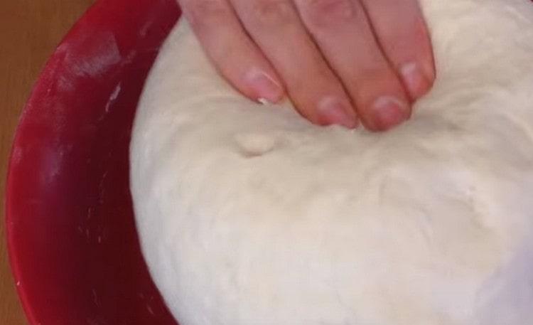 Knead a soft dough that will not stick to your hands.