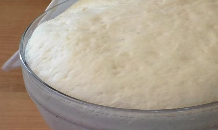 The dough for pies without eggs rose perfectly.