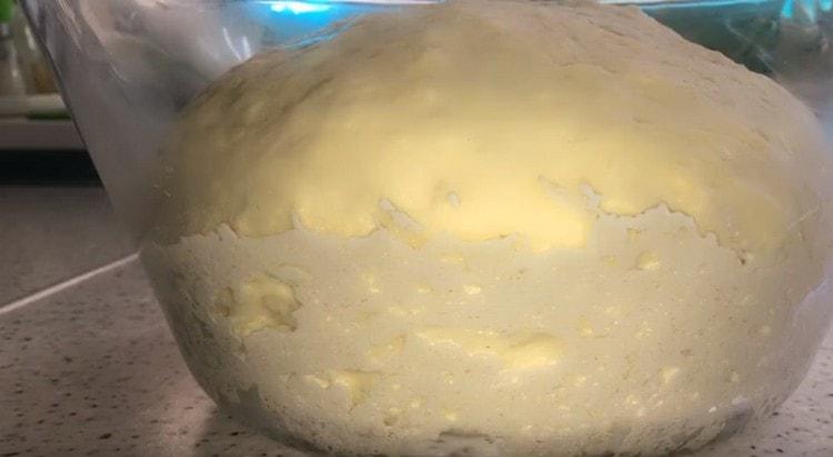 The dough went well; you can start making khachapuri.