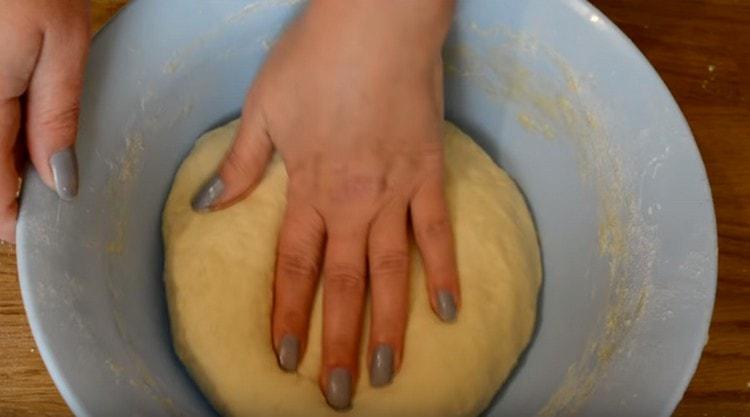 Leave the dough in a bowl in a warm place so that it can rise.