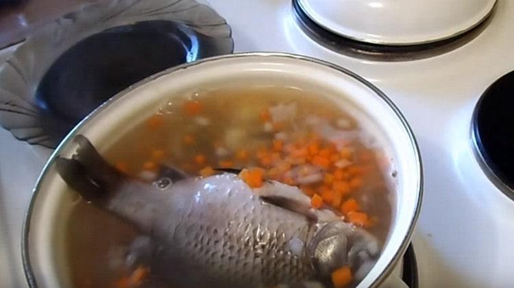 When the potatoes are ready, add crucian carp.