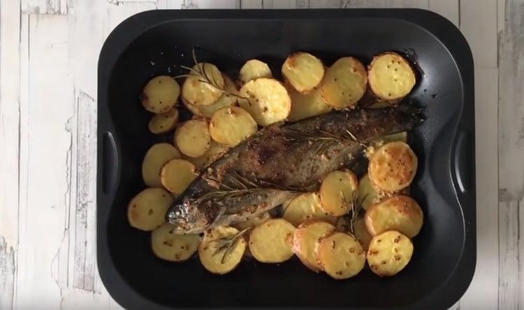 We bake trout with potatoes in the oven and enjoy the taste of a wonderful dish.
