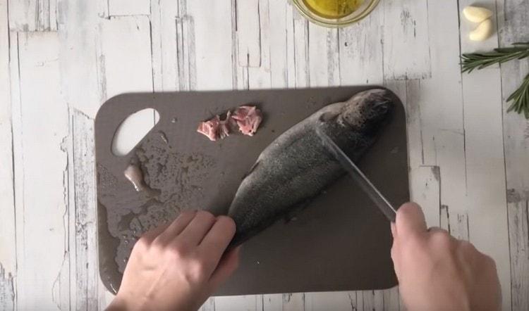 Trout clean, gut, rinse.