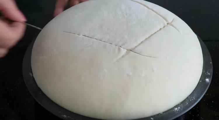 Using a blade, make cuts on the bread.