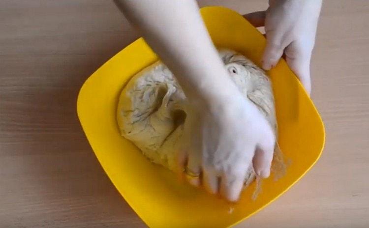 When the dough rises, you need to knead it.