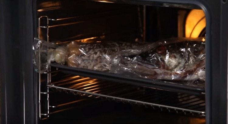 Put the pike in the oven.